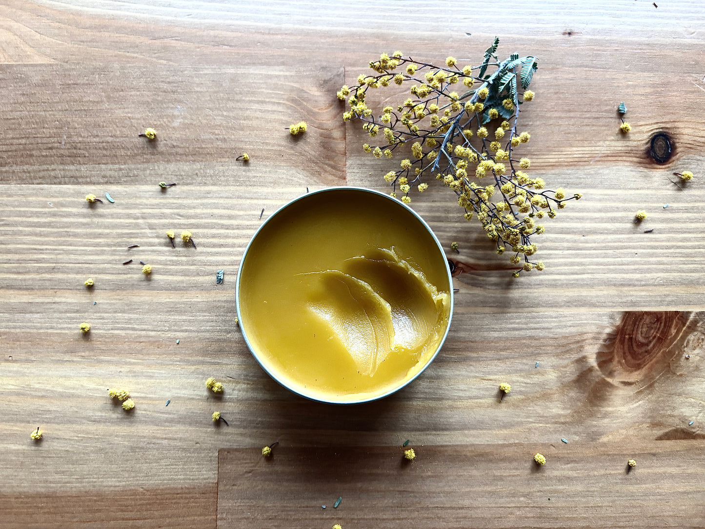 Pain and Inflammation Support Salve