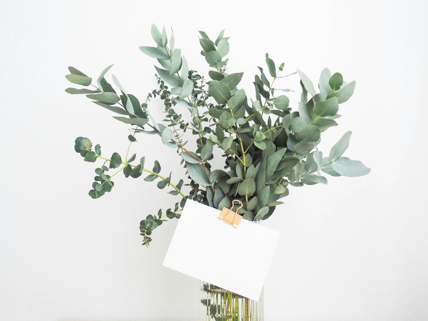 Owl Song Farms & Apothecary Gift Cards