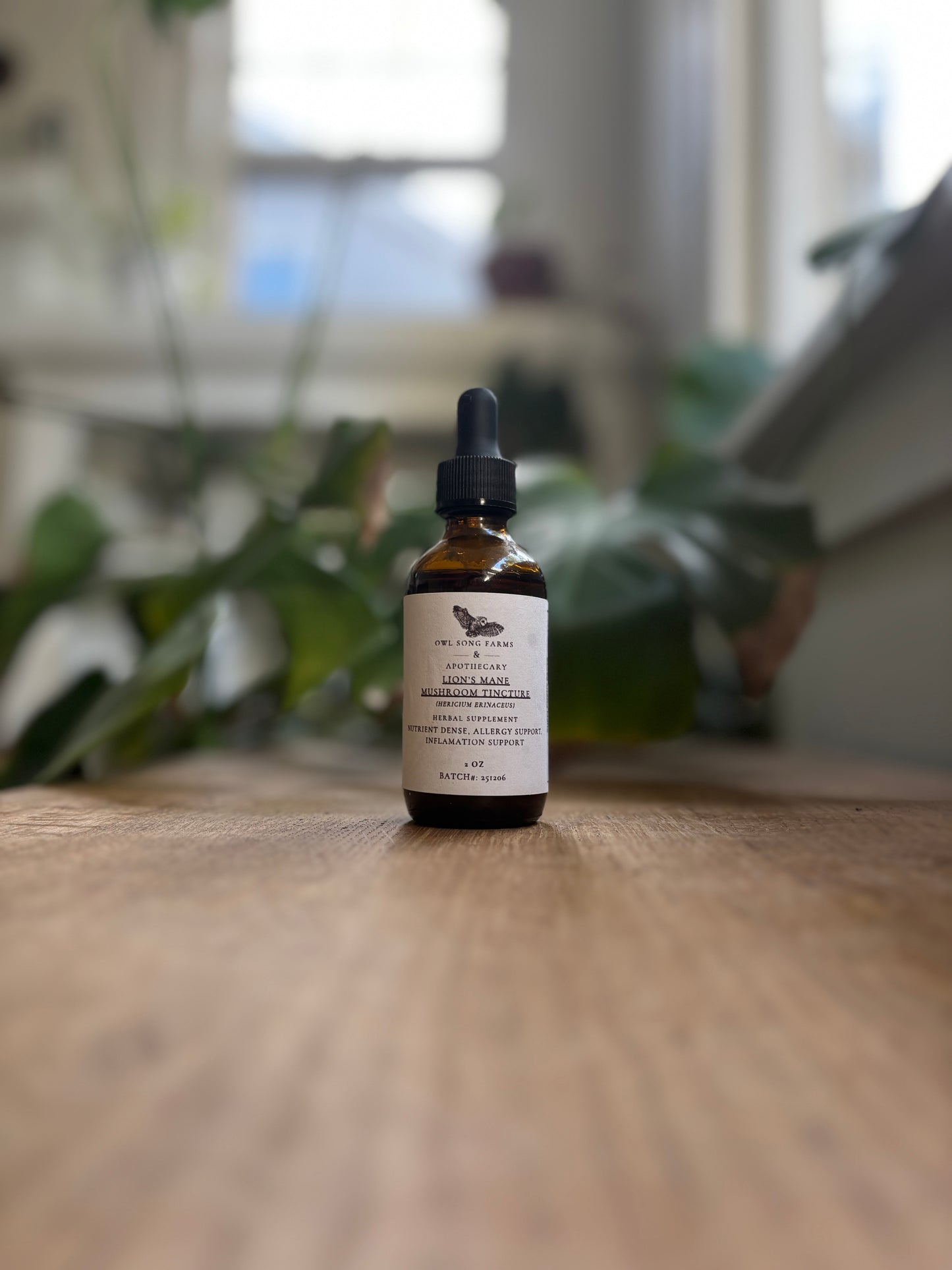 Lion's Mane Tincture - Brain Health and Nervous System Support