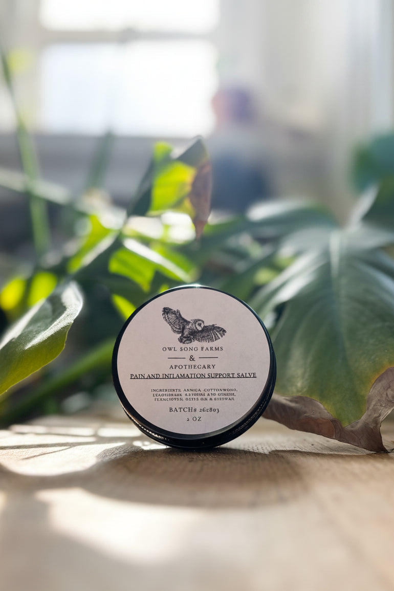 Pain and Inflammation Support Salve